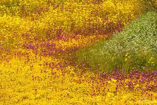 Flowerful