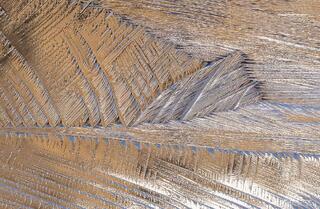 Feathered Ice