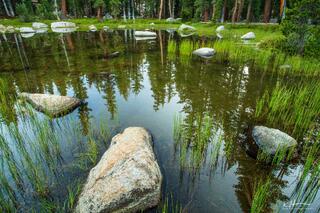 Reflecting Nature