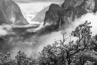 The Valley