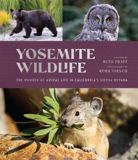 Yosemite Wildlife- The Wonder of Animal Life in California's Sierra Nevada (hardcover)
