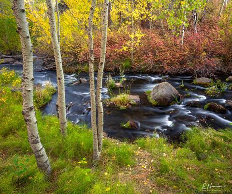 Creekside