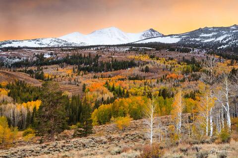 Eastern Sierra Fall