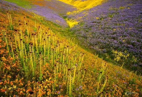 Painted Hills
