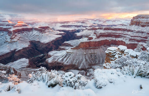 Winter Wonder